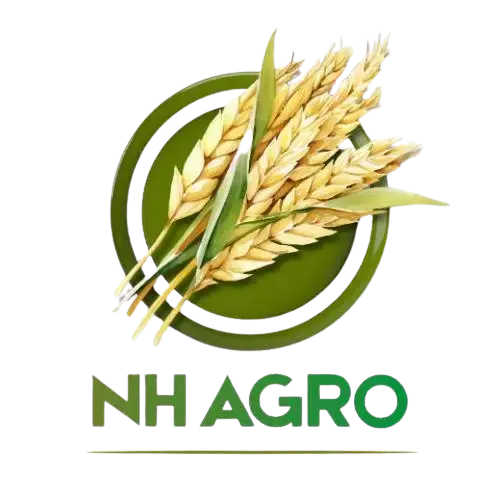 NH Agro – Indian Agricultural Exporter